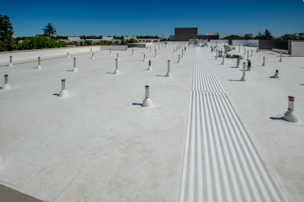 Best Storm Damage Roof Repair  in Ocean Pines, MD